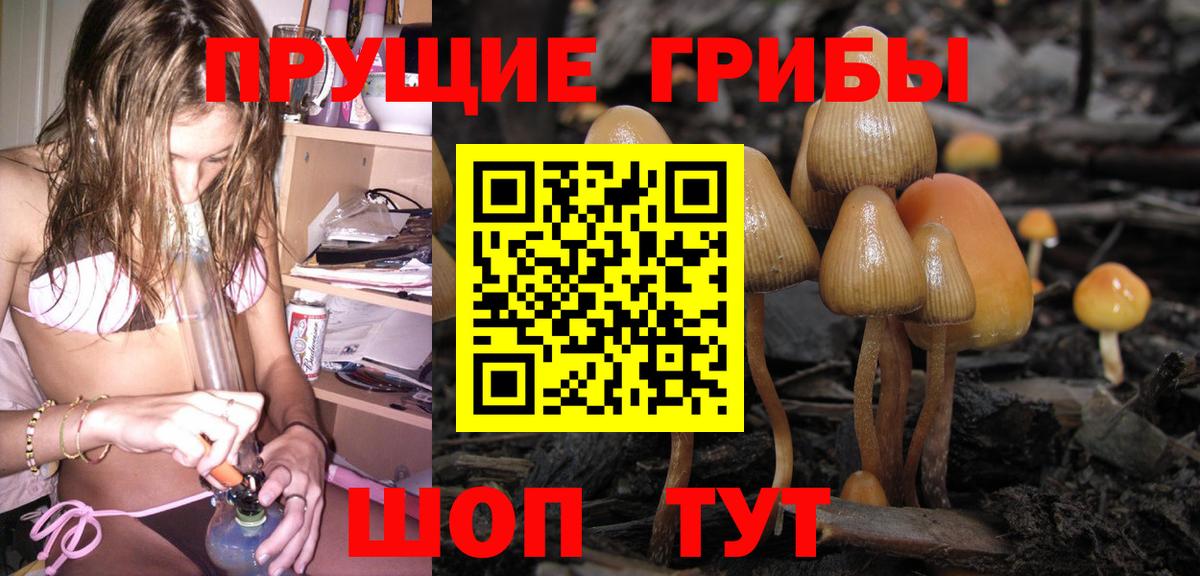 Псилоцибиновые грибы Cubensis  Псилоцибиновые грибы ЛСД  Вход с VPN  Конаково 